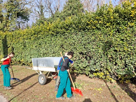 Studenti impegnati in attività di giardinaggio, rastrellando foglie e raccogliendo detriti vicino a una siepe, indossando abiti da lavoro verdi e utilizzando attrezzi come pale e rastrelli.