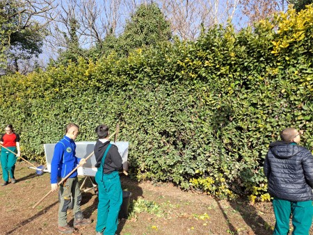 Studenti coinvolti in attività di giardinaggio vicino a una siepe, indossando abiti da lavoro. Alcuni stanno raccogliendo foglie con rastrelli e pale, mentre altri osservano o si preparano a svolgere il proprio compito.