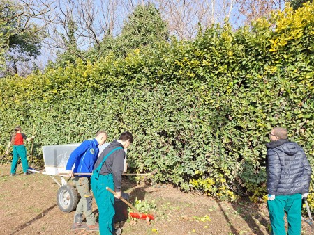 Gruppo di studenti impegnati nella manutenzione di un giardino, con una siepe alta sullo sfondo. Alcuni studenti stanno raccogliendo foglie con rastrelli e pale, mentre un altro osserva il lavoro. Sullo sfondo, una carriola è utilizzata per raccogliere i rifiuti vegetali.