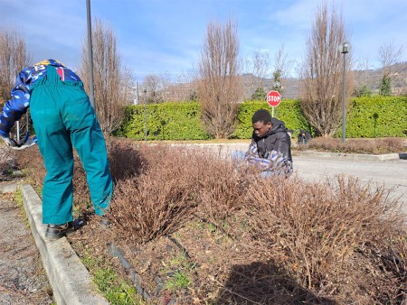 Due studenti che lavorano in un giardino, uno accovacciato mentre pota i cespugli secchi e l'altro in piedi, impegnato a raccogliere i rifiuti vegetali. Sullo sfondo si intravede un cartello di stop e una siepe verde che delimita il giardino.